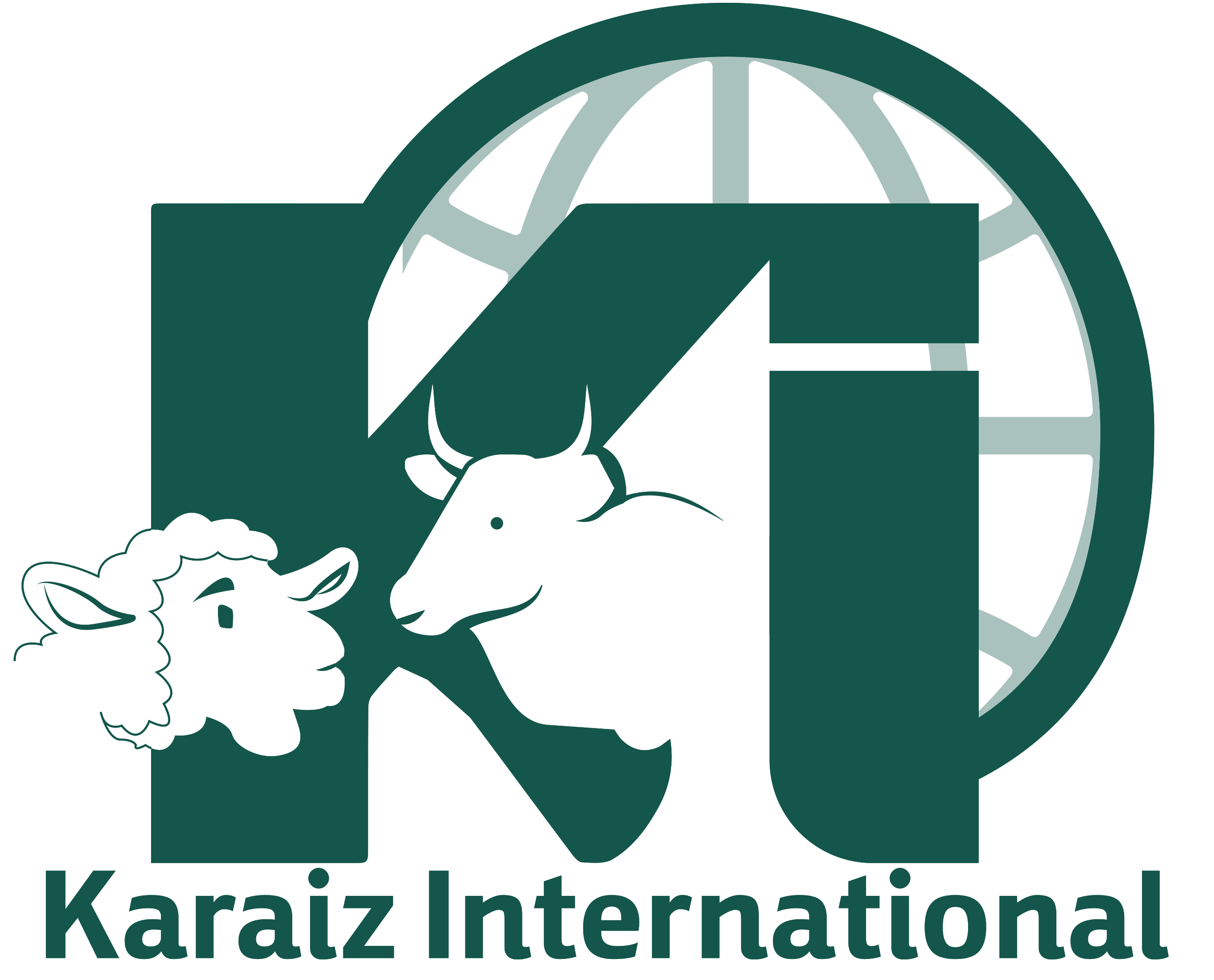 Karaiz International